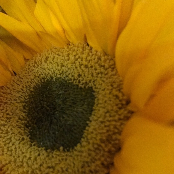 meet me - Picture 15 of 16